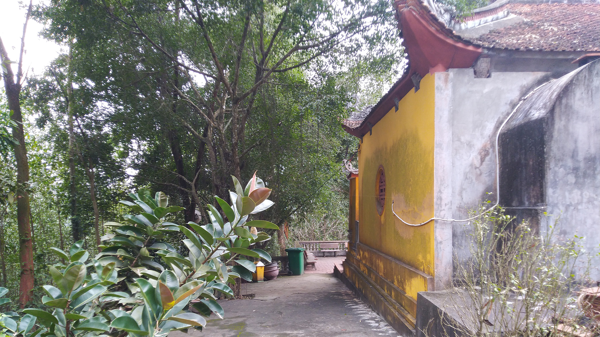 B.05_Đằng Sau Đền.jpg